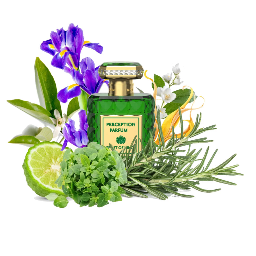 PERCEPTION Parfum 100ml