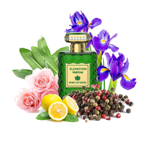 ELEVATION Parfum 100ml