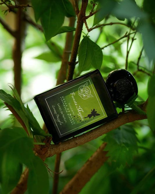 FORESTA MAGICA Extrait de Parfum 50ml
