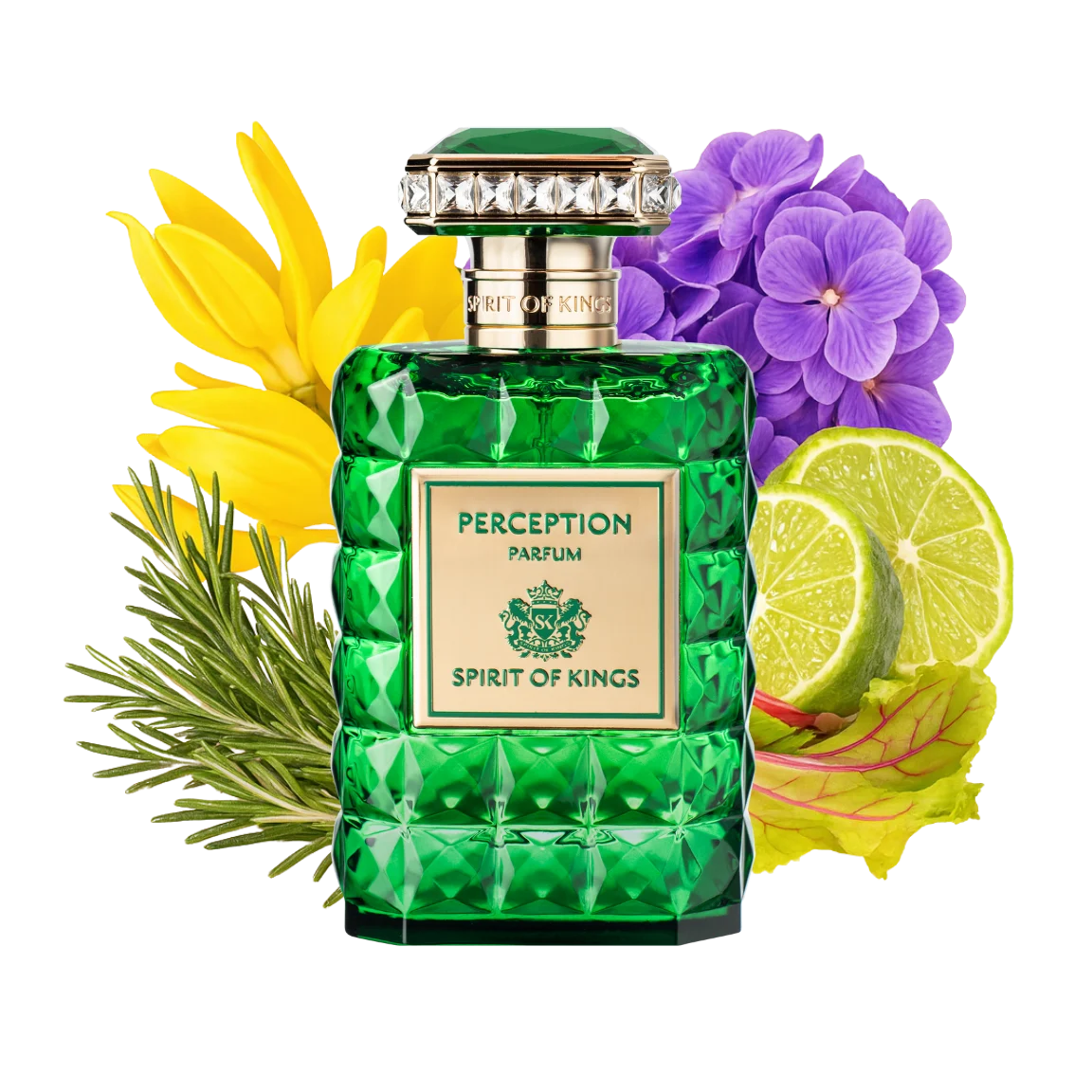 PERCEPTION Parfum 100ml