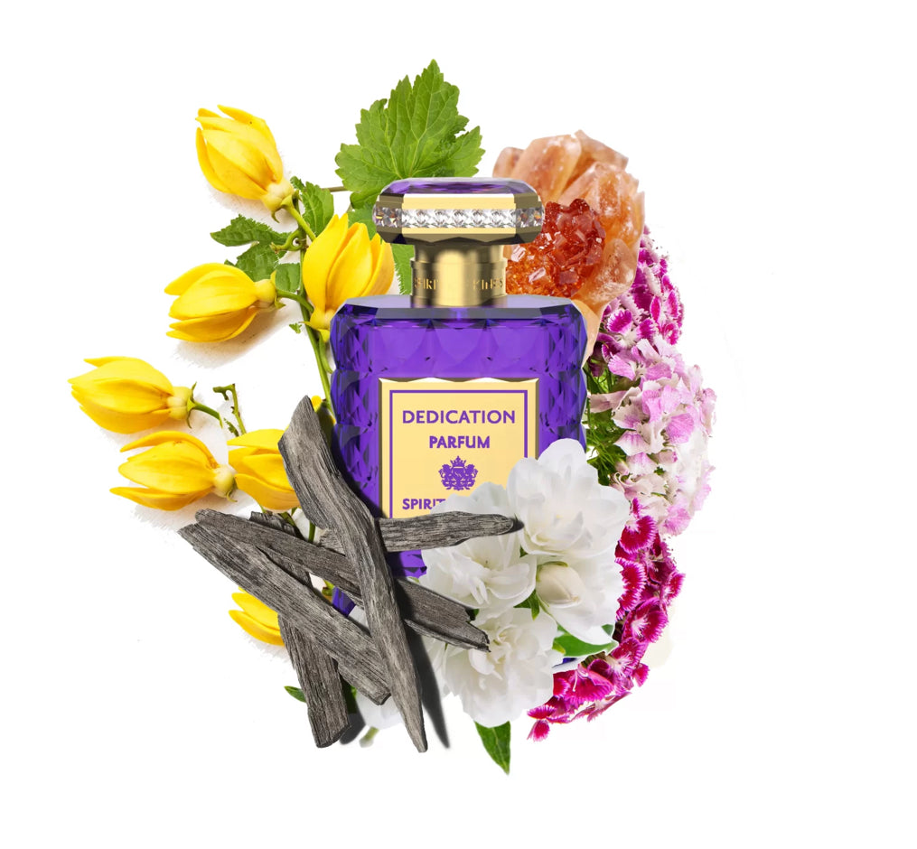 DEDICATION Parfum 100ml